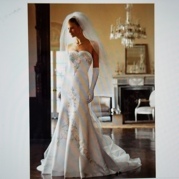 David's Bridal Dresses & Skirts - David's Bridal White Champagne Satin Wedding Gown